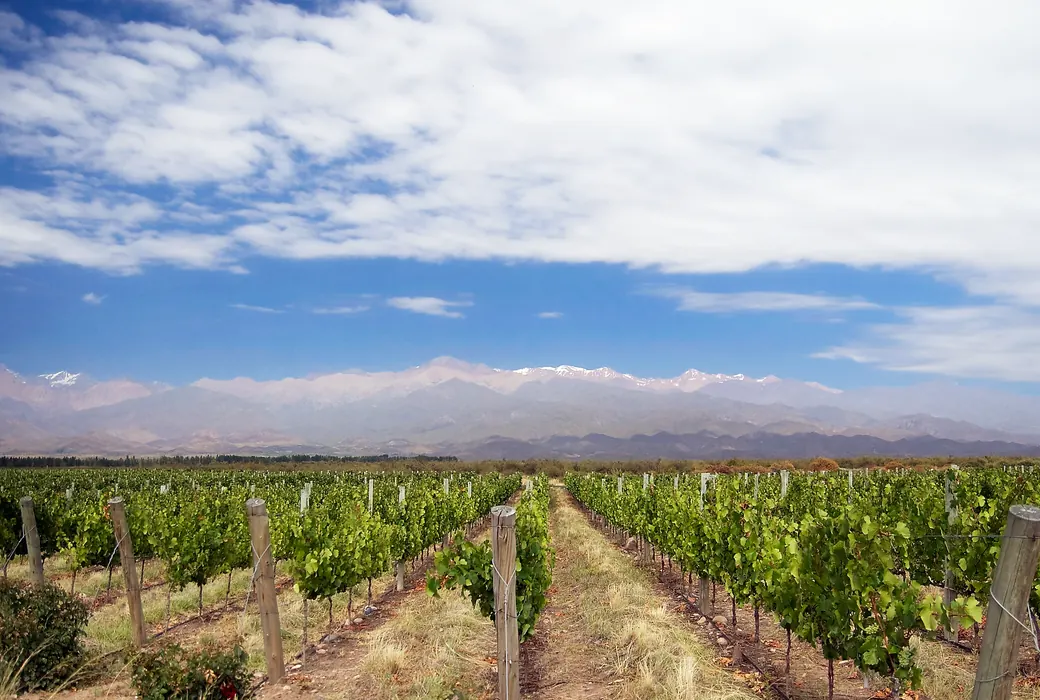 Vin fra Argentina