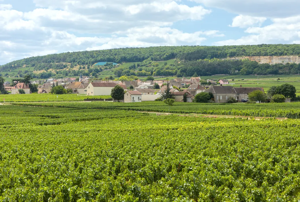 Gigondas (Frankrig)