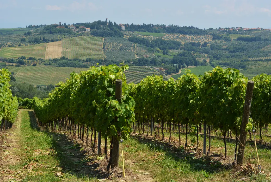 Valdobbiadene (Italien)
