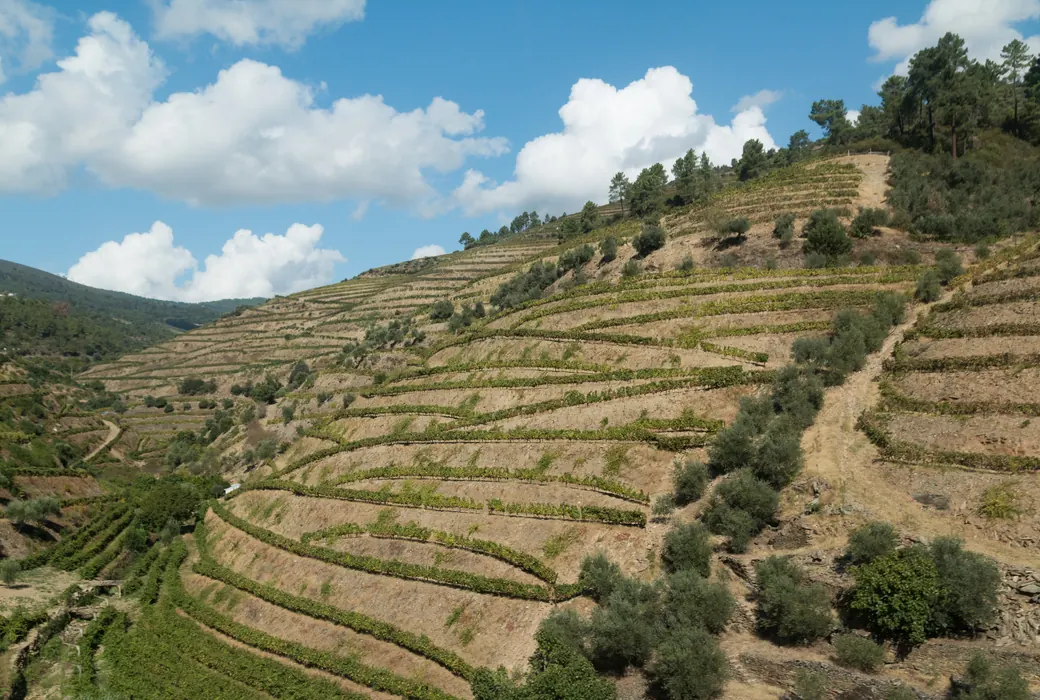 Douro (Portugal)