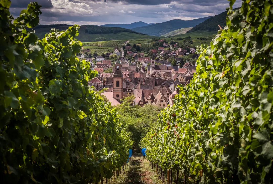 Alsace (Frankrig)