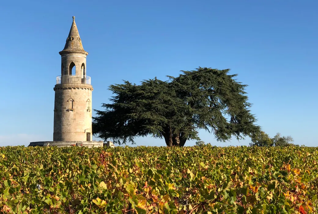 Bordeaux (Frankrig)