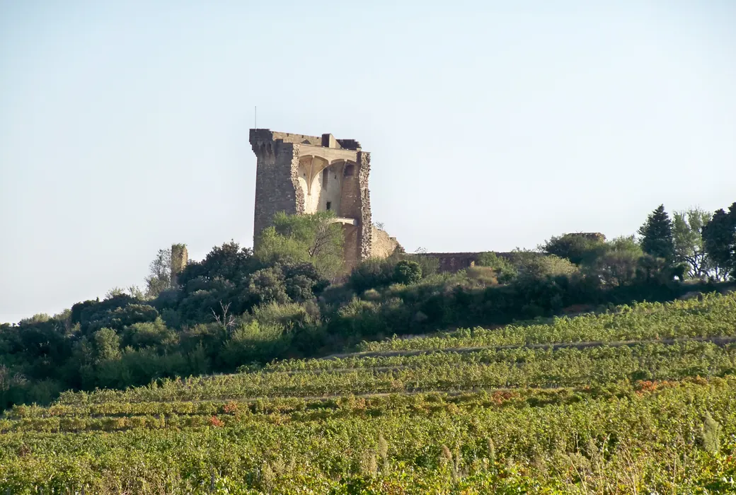Châteauneuf-du-Pape (Frankrig)