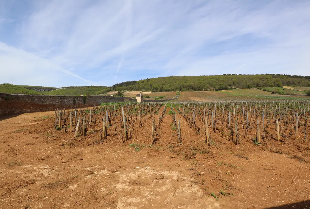 Gevrey-Chambertin (Frankrig)