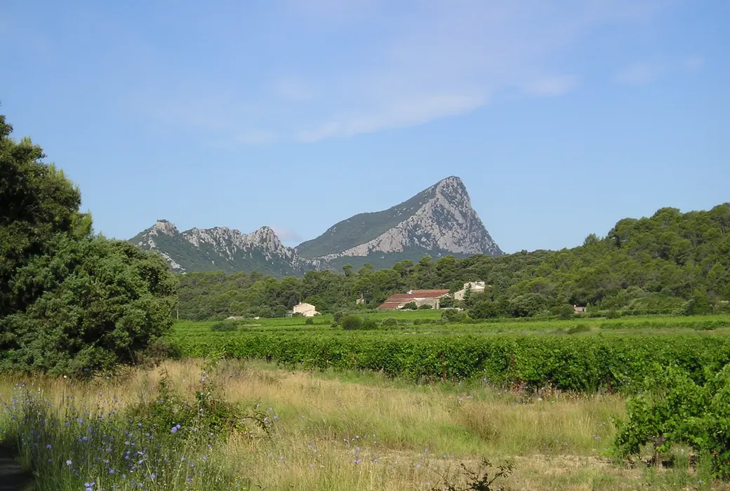 Languedoc (Frankrig)