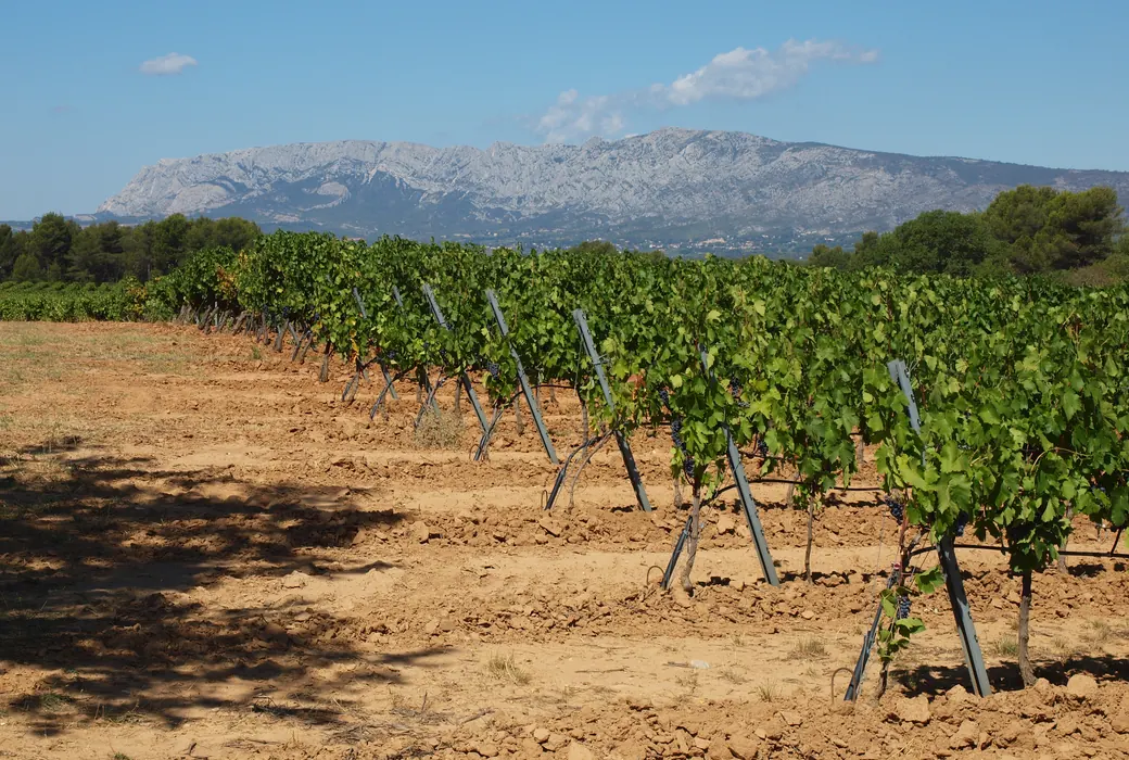 Provence (Frankrig)