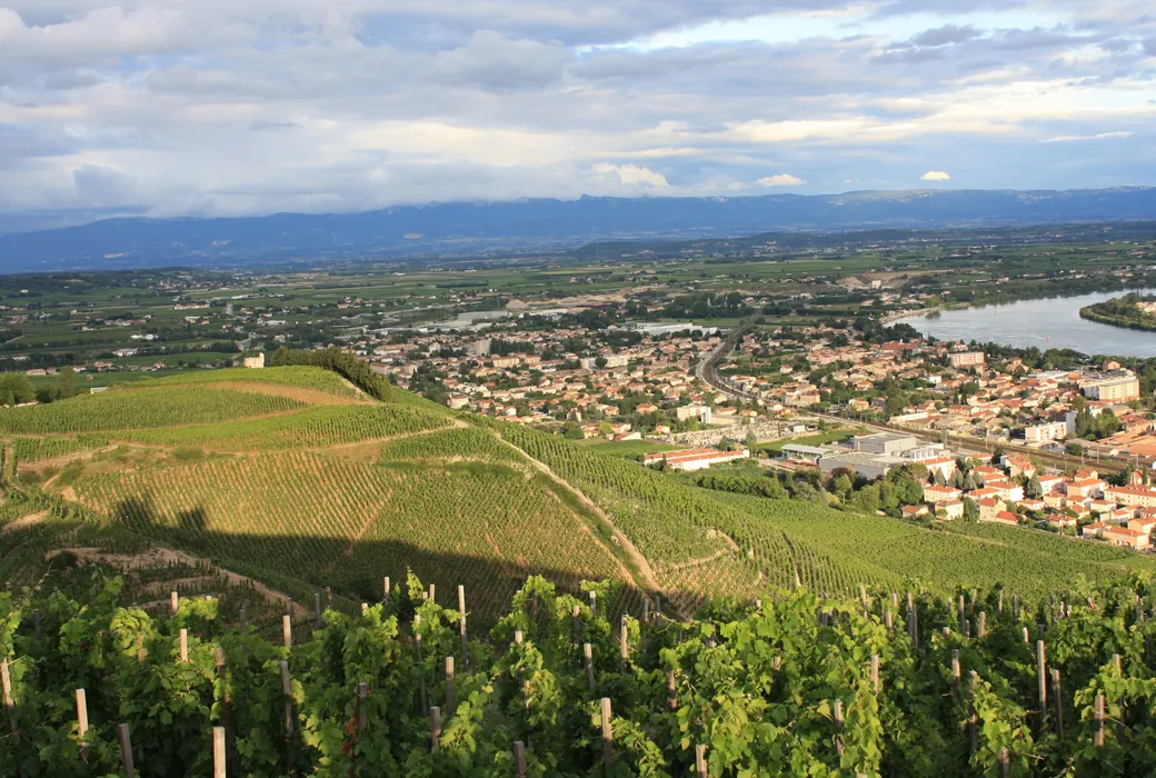 Rhône (Frankrig)
