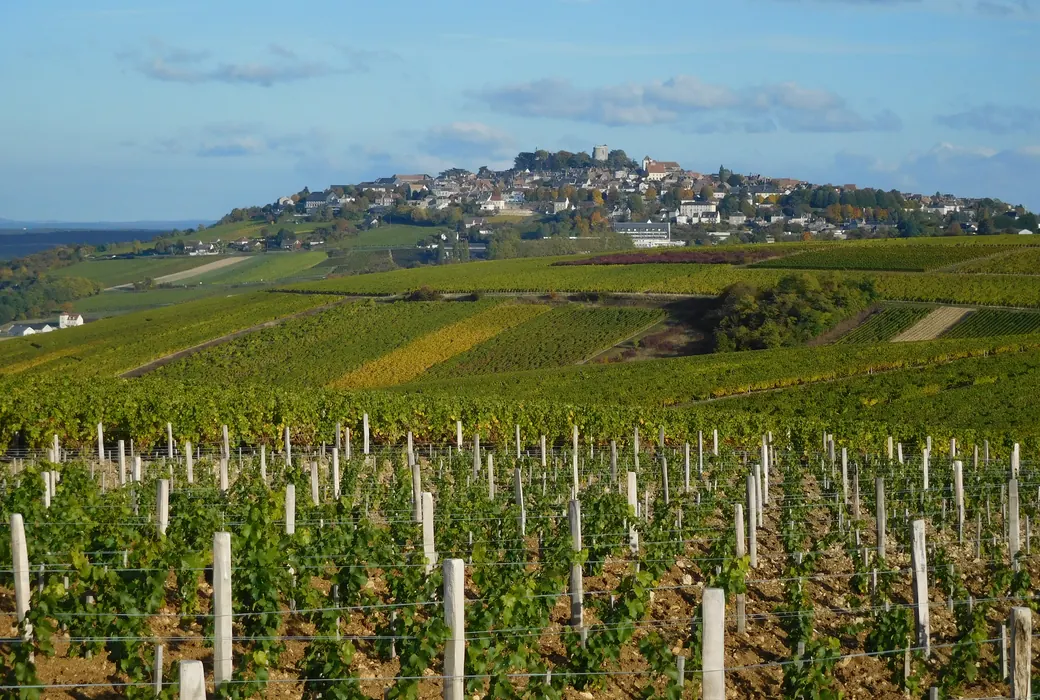 Sancerre (Frankrig)