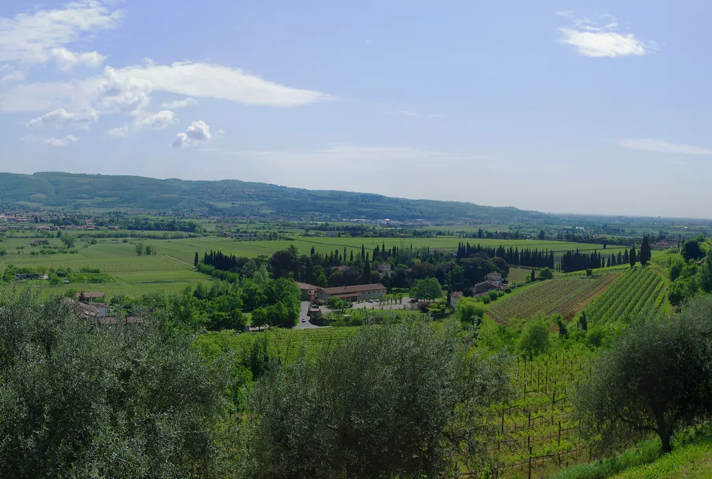 Valpolicella (Italien)